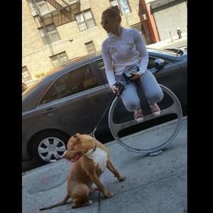 Meet your Posher, Kristen